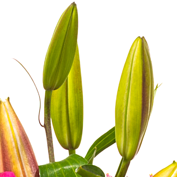 floraprima Trauerkranz mit rosa Lilien