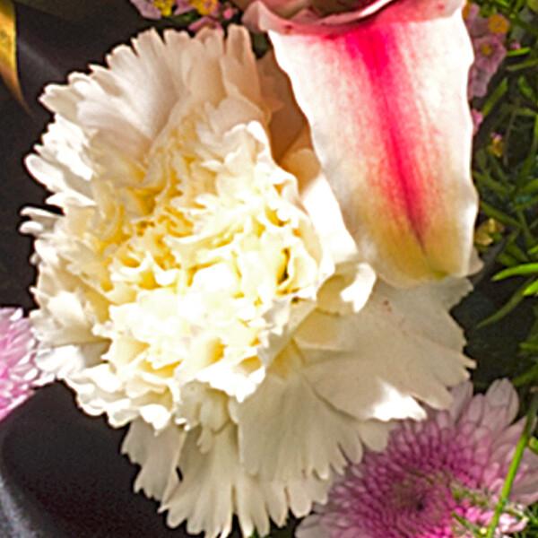 floraprima Trauerkranz mit rosa Lilien Exklusivangebot