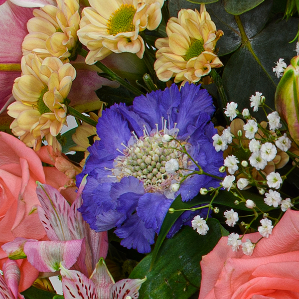 floraprima Premiumstrauß Meisterwerk mit Premiumvase & Ferrero Giotto 3er Cyber Monday