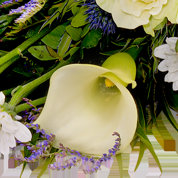 floraprima Liegestrauß Verbundenheit Top Angebot
