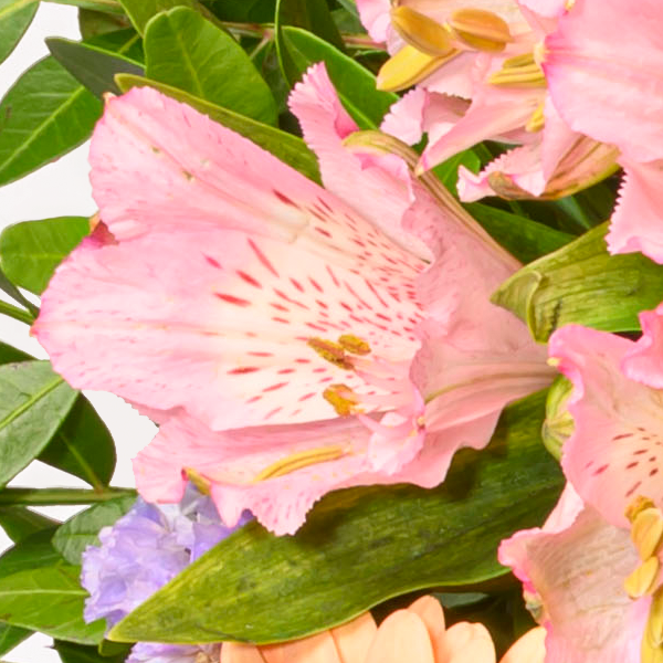 floraprima Blumenstrauß Muttertagstraum mit Vase & Ferrero Giotto 3er Zeitlich begrenztes Angebot