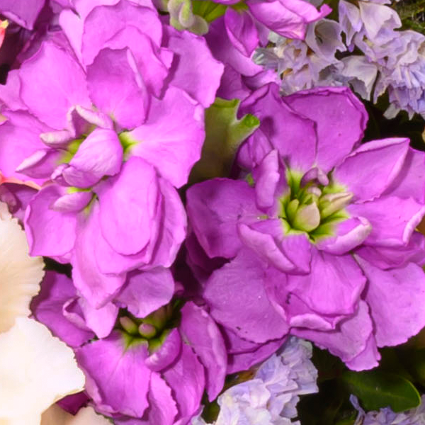 floraprima Blumenstrauß Muttertagstraum mit Vase & Ferrero Giotto 3er Zeitlich begrenztes Angebot