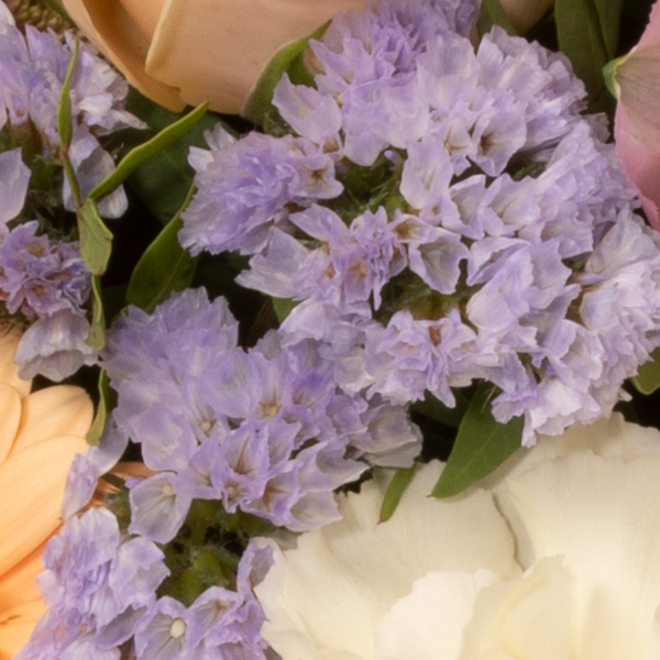floraprima Blumenstrauß Blütenschönheit mit Vase & Ferrero Giotto 3er Exklusive Angebote