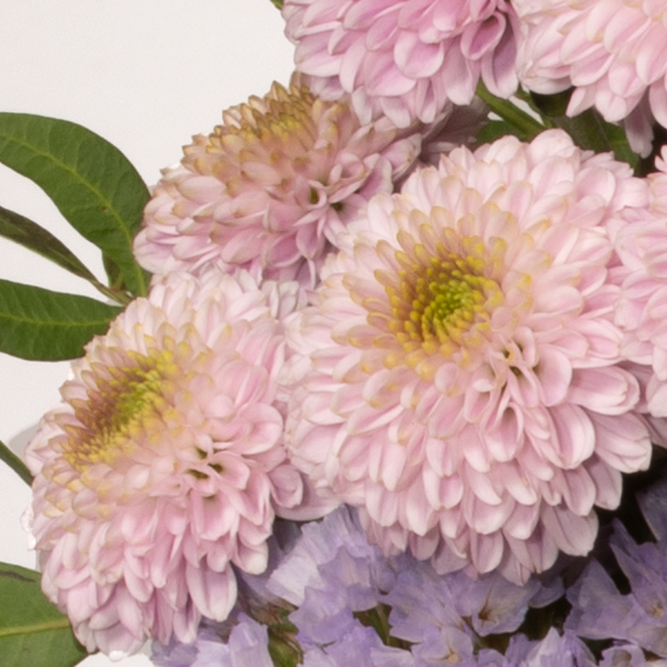 floraprima Blumenstrauß Blütenschönheit mit Vase & Ferrero Giotto 3er Exklusive Angebote