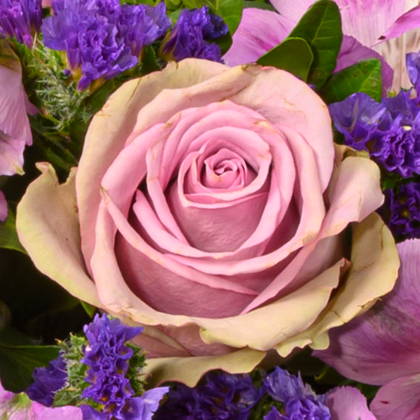 floraprima Blumenstrauß Danke mit Vase & Ferrero Giotto 3er Blitzangebot