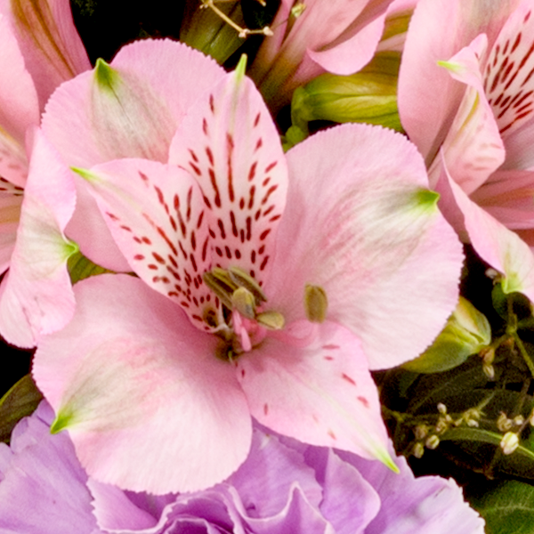 floraprima Premiumstrauß Blütenstar mit Premiumvase & Ferrero Giotto 3er Räumungsverkauf