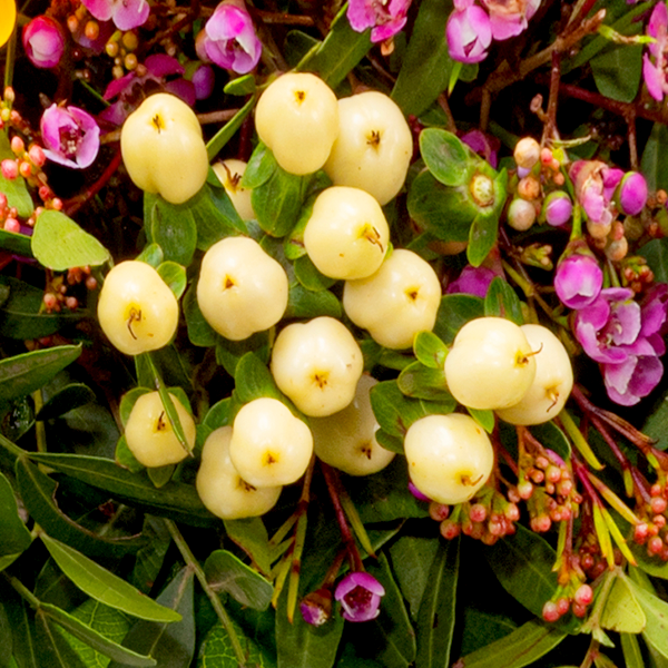 floraprima Blumenstrauß Herzenswärme mit Vase & Ferrero Giotto 3er VIP-Rabatte
