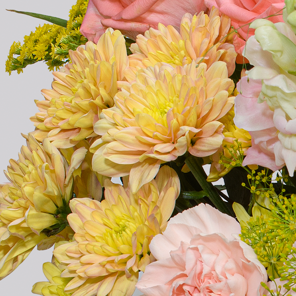 floraprima Premiumstrauß Prachtvoll mit Premiumvase & Ferrero Giotto 3er Letzte 2 Tage