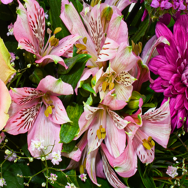 floraprima Blumenstrauß Muttertagszauber mit Vase & Ferrero Giotto 3er Zeitbegrenzte Promotion