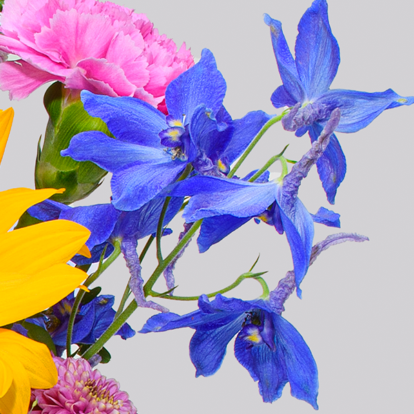 floraprima Blumenstrauß Lovely mit Vase & Ferrero Giotto 3er Bis zu 50% Rabatt