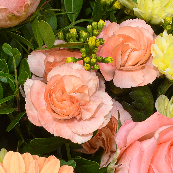 floraprima Blumenstrauß Zarte Grüße mit Vase & Ferrero Giotto 3er Bis zu 60% Rabatt