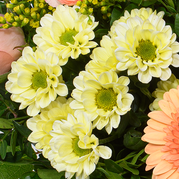 floraprima Blumenstrauß Zarte Grüße mit Vase & Ferrero Giotto 3er Bis zu 60% Rabatt