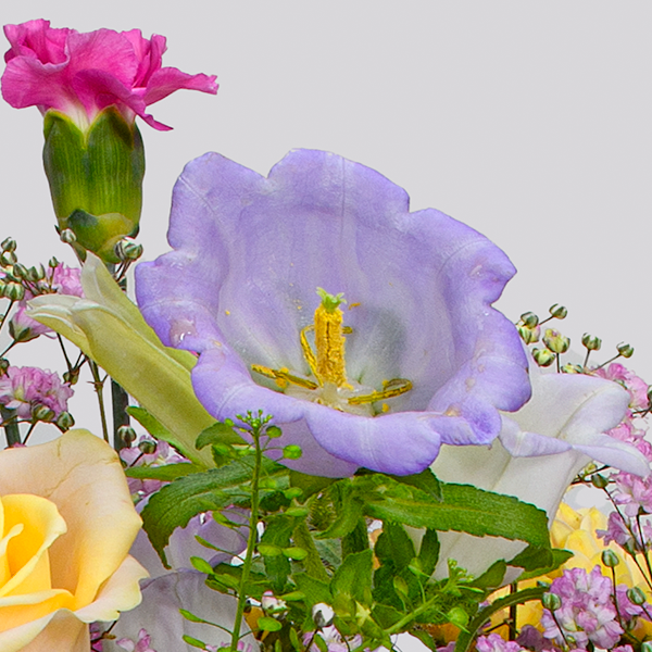 floraprima Premiumstrauß Blütenkuss mit Premiumvase & Ferrero Giotto 3er Bis zu 65% Rabatt