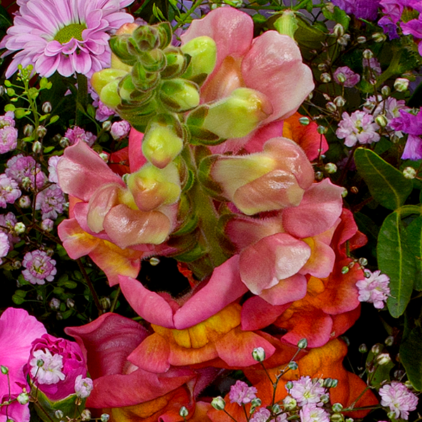 floraprima Premiumstrauß Blütenkuss mit Premiumvase & Ferrero Giotto 3er Bis zu 65% Rabatt