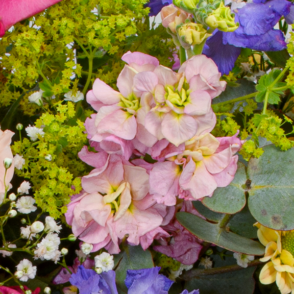 floraprima Premiumstrauß zum Muttertag mit Premiumvase & Ferrero Giotto 3er