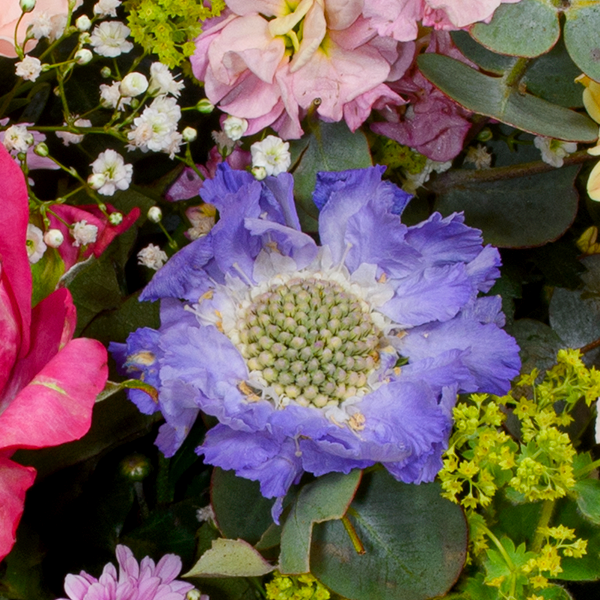 floraprima Premiumstrauß zum Muttertag mit Premiumvase & Ferrero Giotto 3er Nur für heute