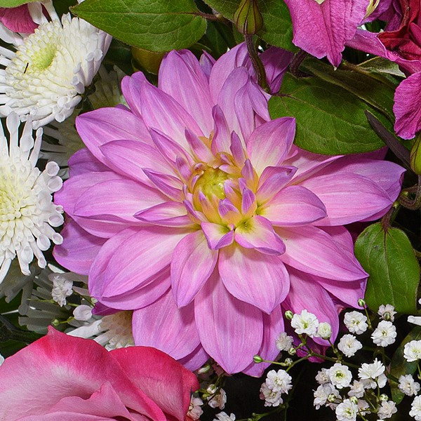 floraprima Premiumstrauß Schön dass es dich gibt mit Premiumvase & Ferrero Giotto 3er Sonderangebot der Fabrik