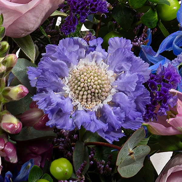 floraprima Premiumstrauß Blütenmelodie mit Premiumvase & Ferrero Giotto 3er Vierteljährliche Förderung