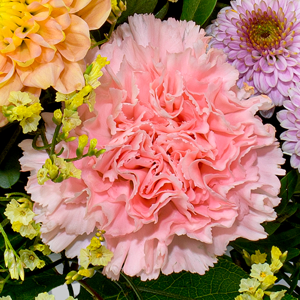 floraprima Blumenstrauß Poesie mit Vase & Ferrero Giotto 3er
