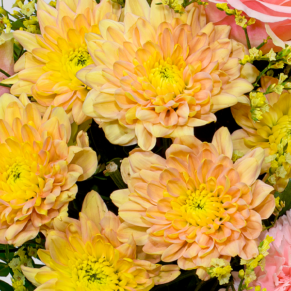 floraprima Blumenstrauß Poesie mit Vase & Ferrero Giotto 3er Bis zu 55% Rabatt