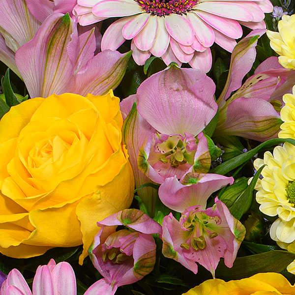 floraprima Blumenstrauß Joy mit Vase & Ferrero Giotto 3er Discount Store für neue Produkte