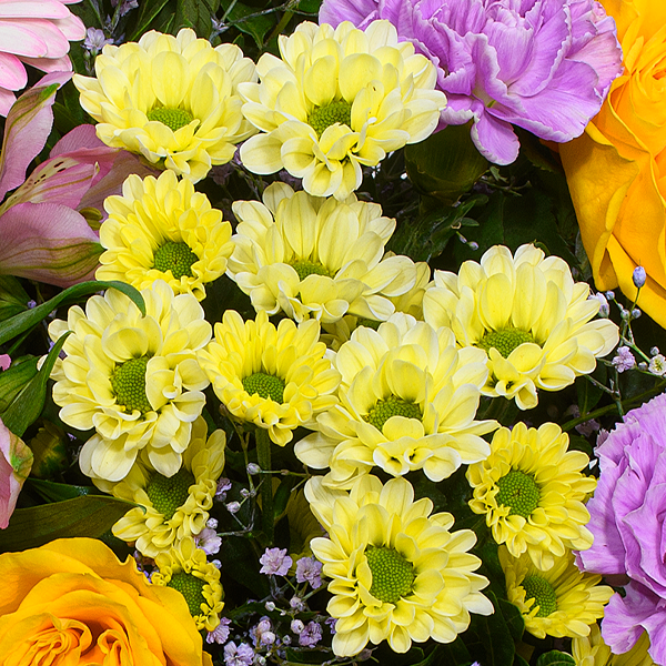 floraprima Blumenstrauß Joy mit Vase & Ferrero Giotto 3er Discount Store für neue Produkte