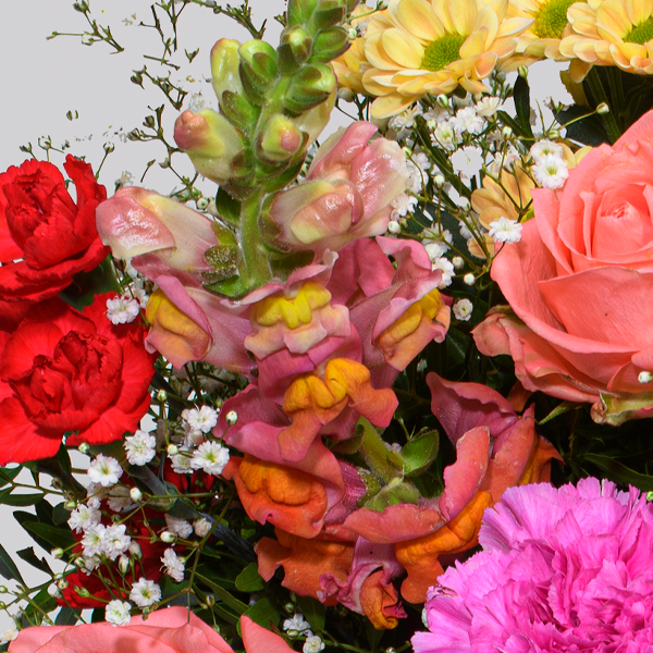 floraprima Premiumstrauß Die Beste mit Premiumvase & Ferrero Giotto 3er Nur noch ein Tag übrig