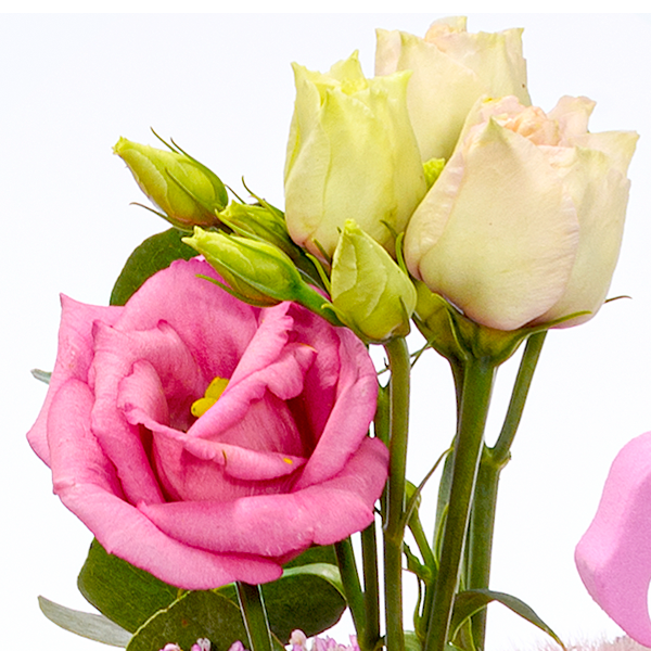 floraprima Blumenstrauß Rosa Himmel mit Vase & Ferrero Giotto 3er