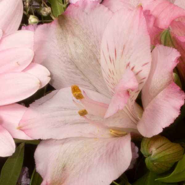 floraprima Blumenstrauß Mutterherz mit Vase & Ferrero Giotto 3er