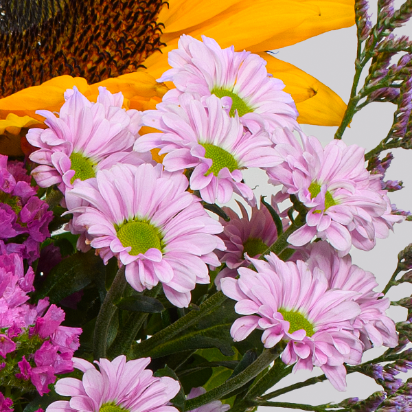 floraprima Blumenstrauß Fabelhaft mit Vase & Ferrero Giotto 3er Begrenzt auf 3 Tage