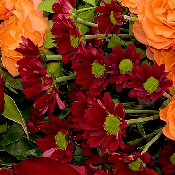 floraprima Liegestrauß In stiller Trauer Top Angebot