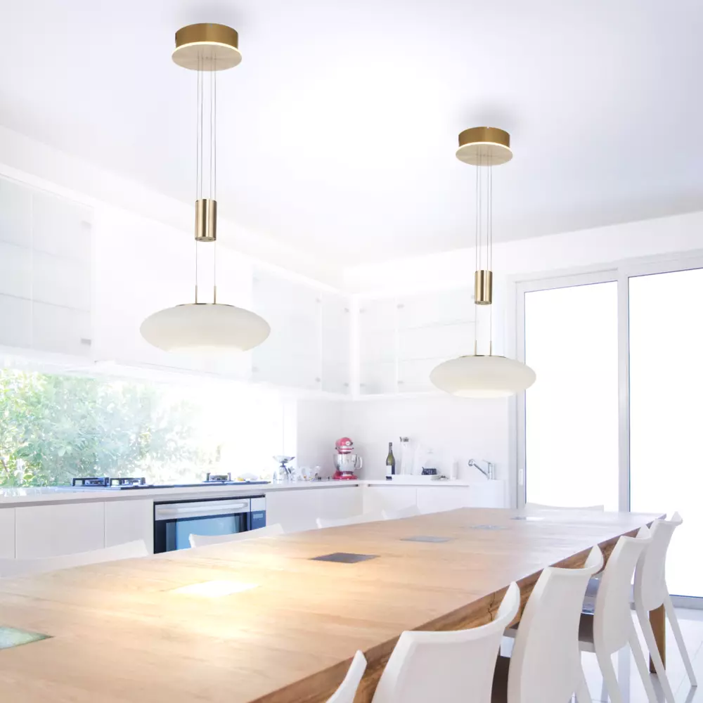 smarthome Paul Neuhaus Q-ETIENNE Pendelleuchte 1-flammig Paul Neuhaus kaufen 50% Rabatt mit kostenlosem Versand