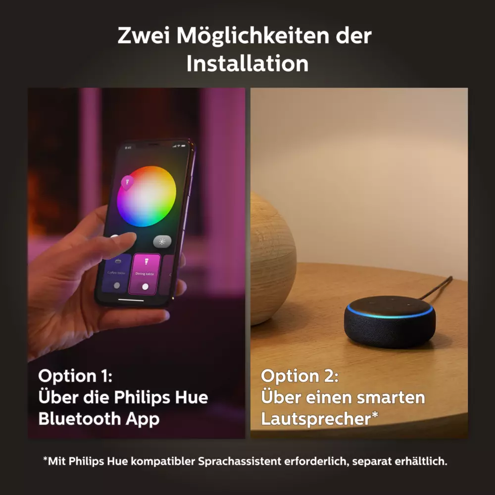 smarthome Philips Hue White & Color Ambience Infuse Deckenleuchte L kaufen Speichern exportieren