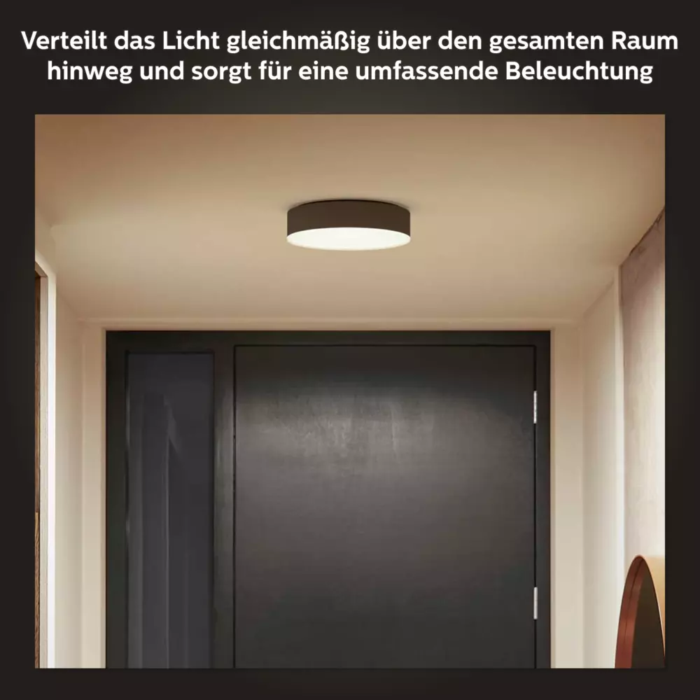 smarthome Philips Hue White Ambience Enrave Deckenleuchte S inkl. Dimmschalter kaufen Black Friday Preise