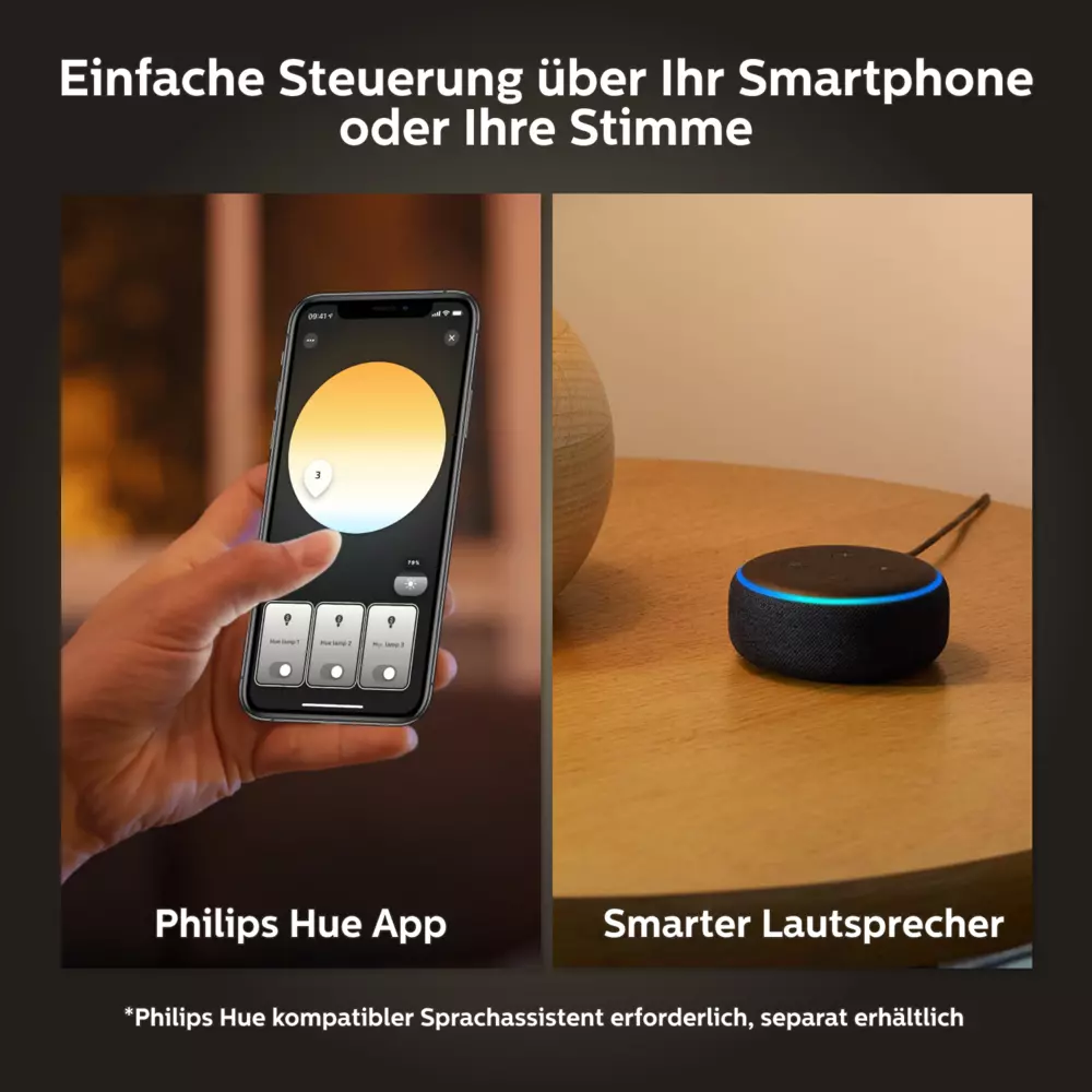 smarthome Philips Hue White Ambience Enrave Deckenleuchte M inkl. Dimmschalter kaufen Black Friday Preise